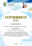 Сертификат за III место в фестивале-конкурсе "Юный шахматист"